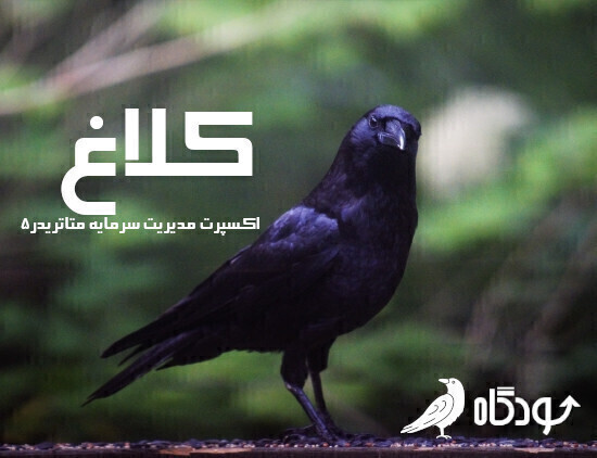 اکسپرت مدیریت سرمایه کلاغ